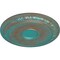 Ekena Millwork Caputo Ceiling Medallion (Fits Canopies up to 6"), 24 1/4"OD x 1 1/2"P, Copper Green Patina CM24CACGS - alternate 4